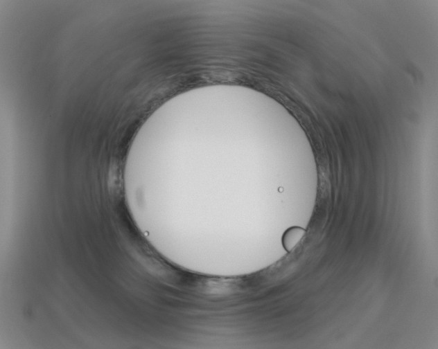 X0000114100134200910051238