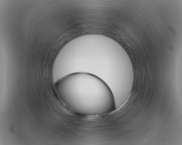 X0000114100136200910051238