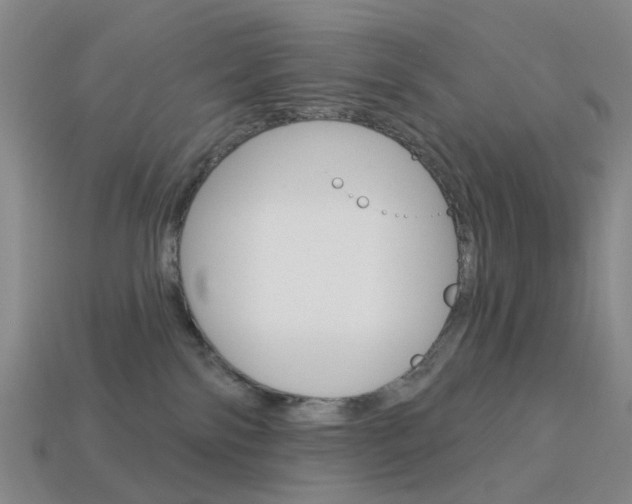 X0000114100138200910051238