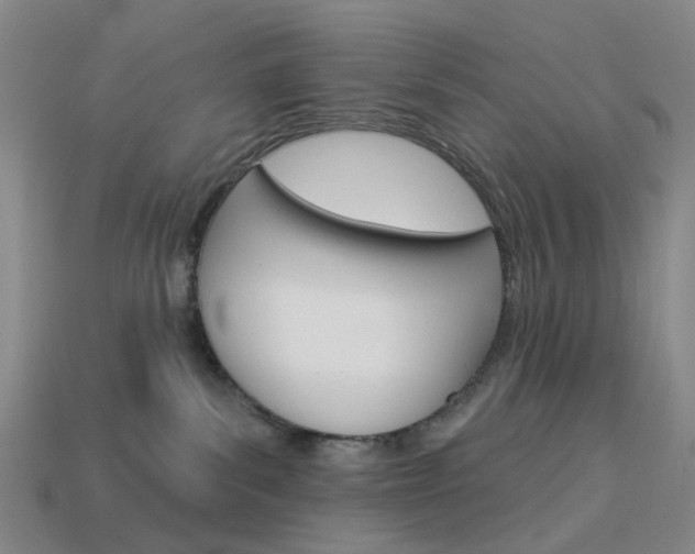 X0000114100139200910051238