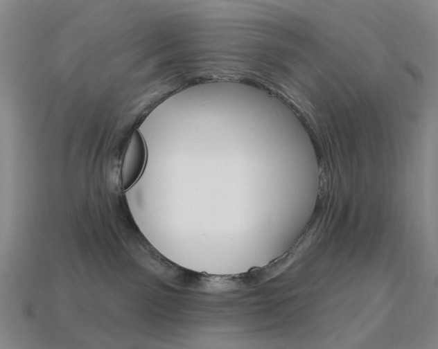 X0000114100141200910051238