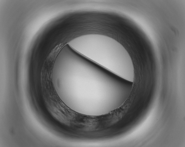 X0000114100143200910051238