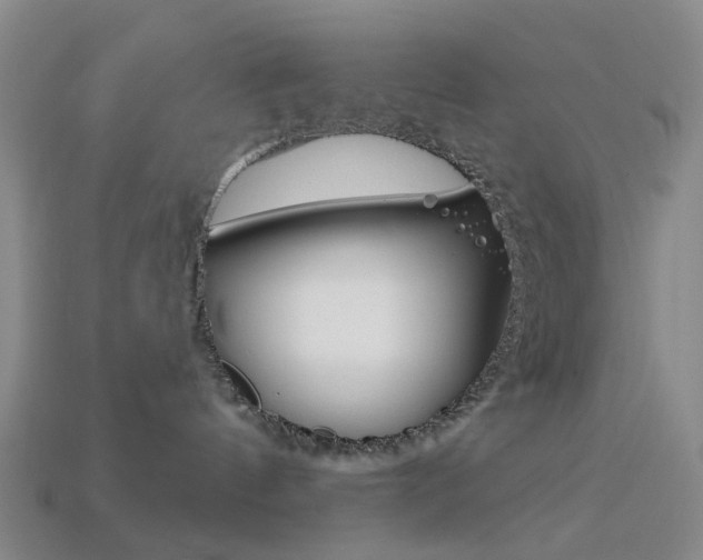 X0000114100144200910051238