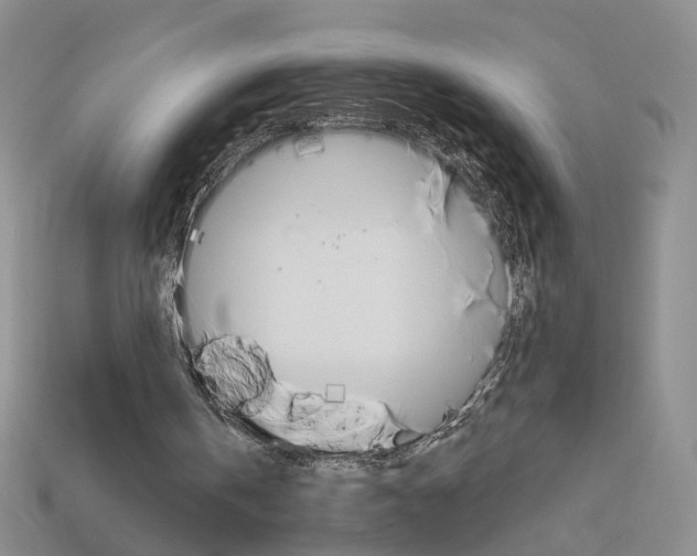 X0000114100146200910051238