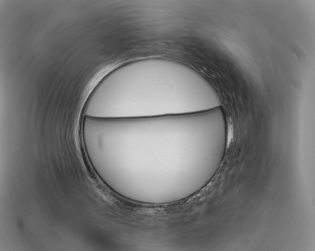 X0000114100147200910051238