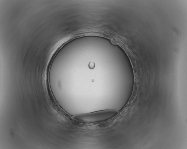 X0000114100148200910051238