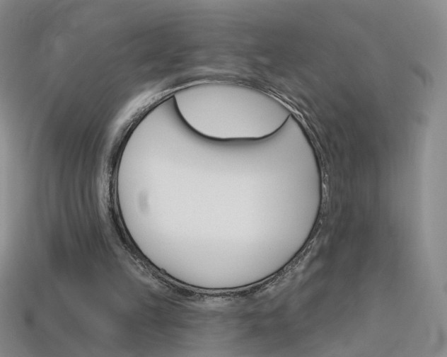 X0000114100149200910051238