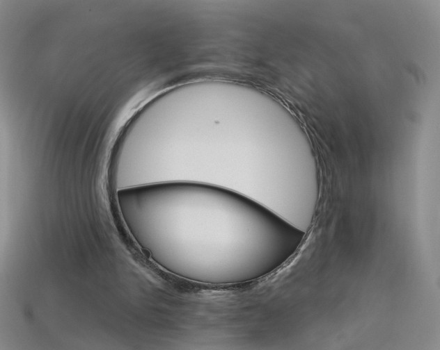 X0000114100150200910051238