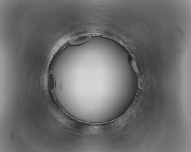 X0000114100152200910051238