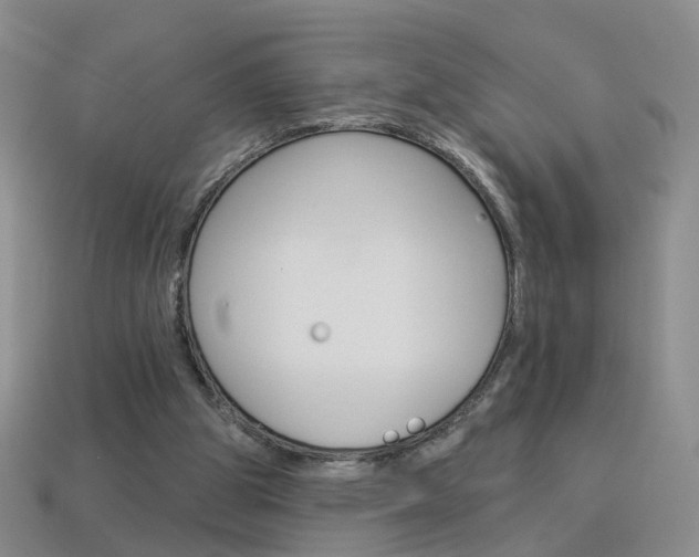 X0000114100153200910051238