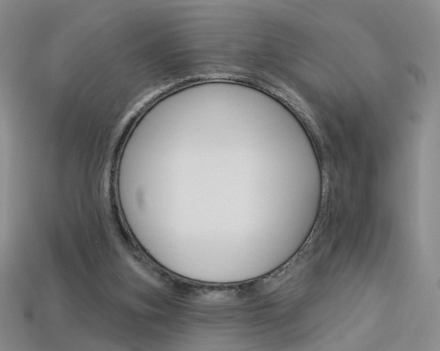 X0000114100155200910051238