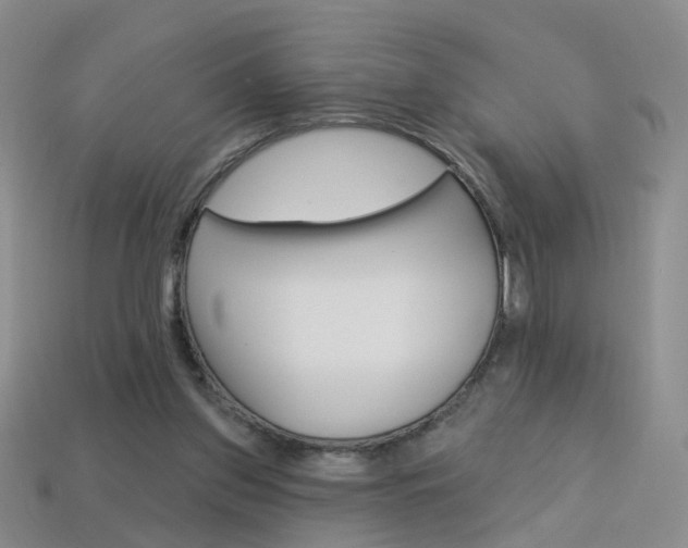 X0000114100157200910051238