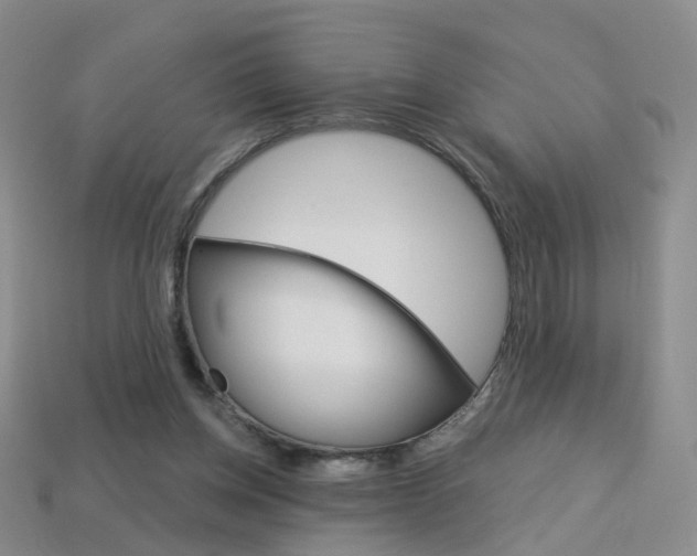 X0000114100158200910051238