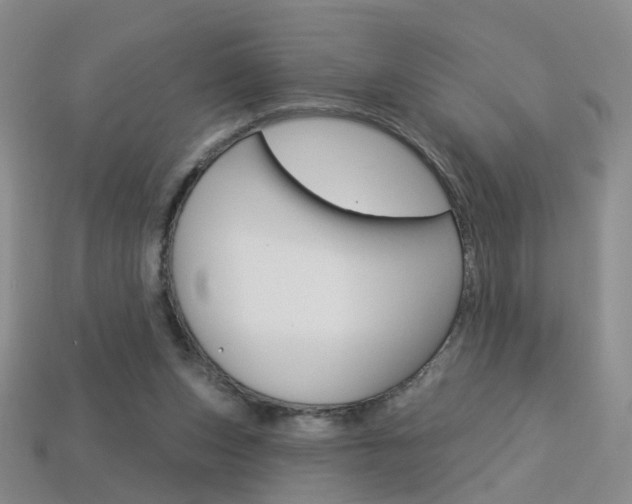 X0000114100159200910051238