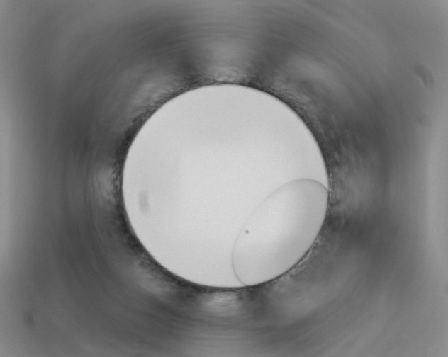 X0000114100162200910051238