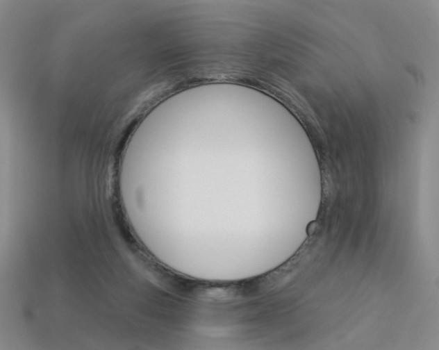 X0000114100163200910051238