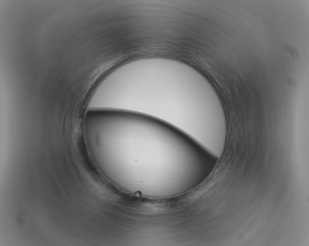 X0000114100164200910051238