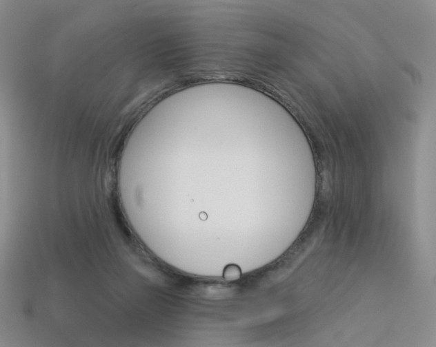 X0000114100165200910051238