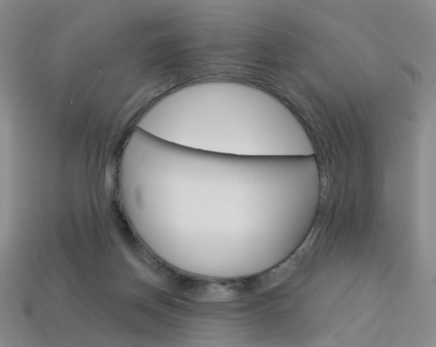 X0000114100166200910051238