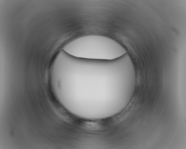 X0000114100167200910051238