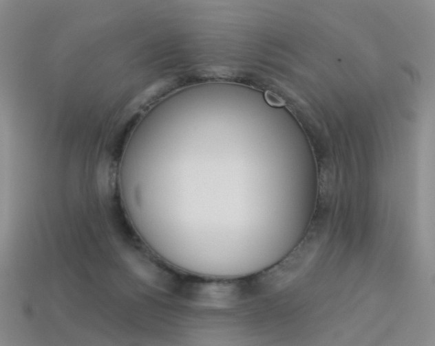 X0000114100168200910051238