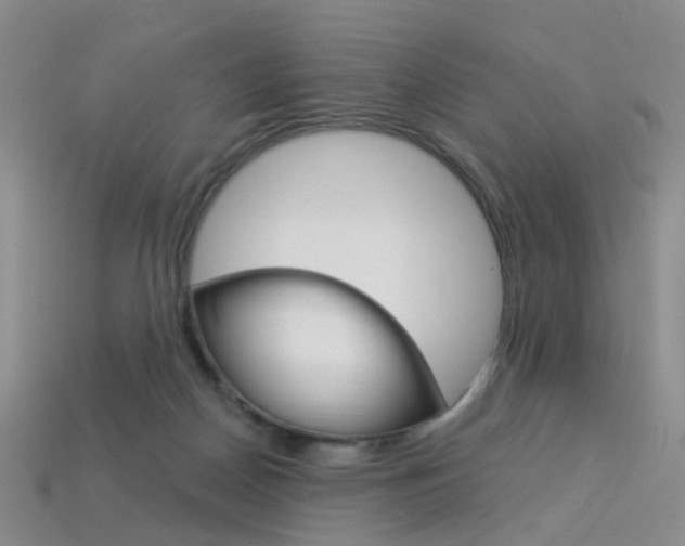 X0000114100170200910051238