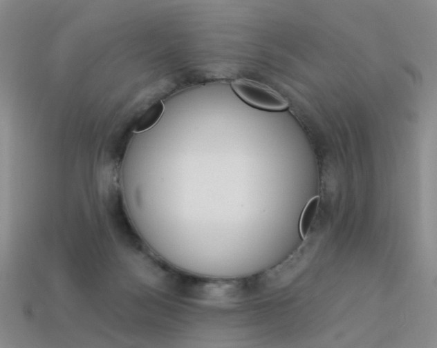 X0000114100172200910051238