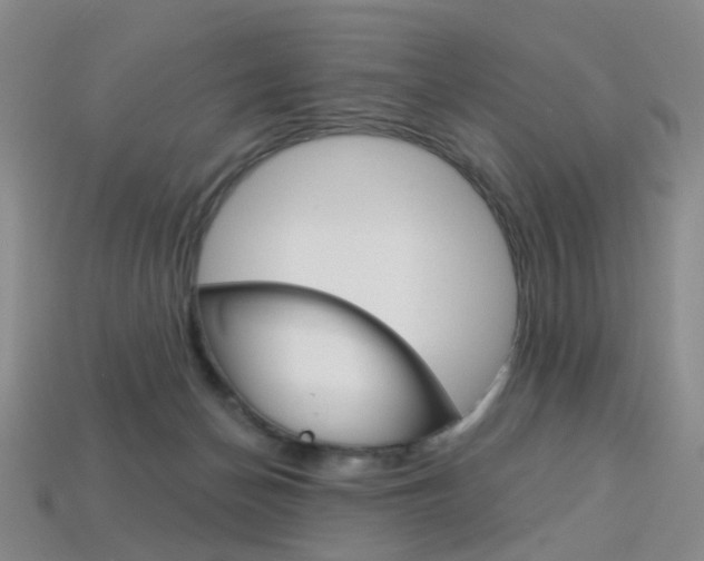 X0000114100174200910051238