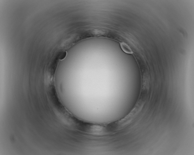 X0000114100176200910051238