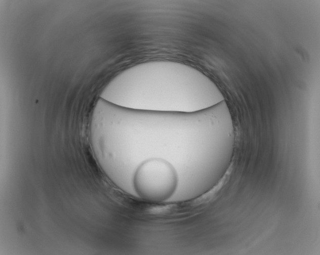 X0000114100178200910051238