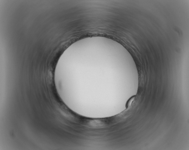 X0000114100183200910051238