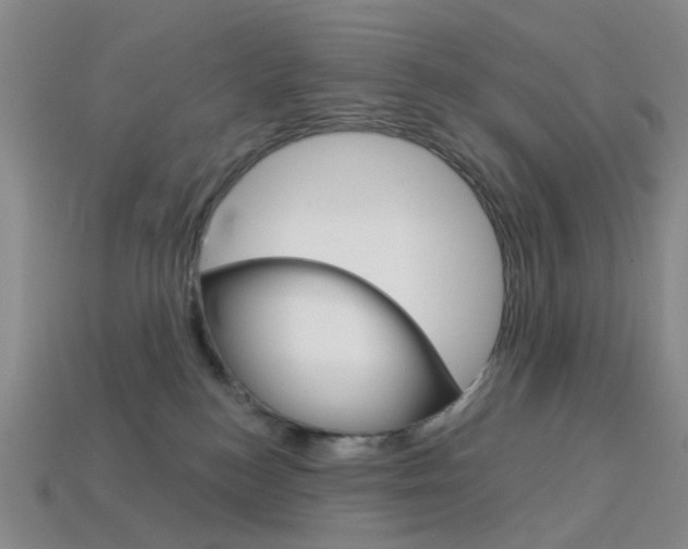 X0000114100184200910051238