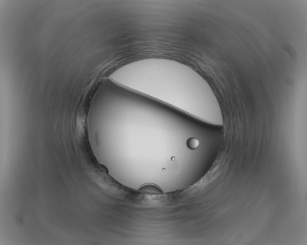 X0000114100188200910051238