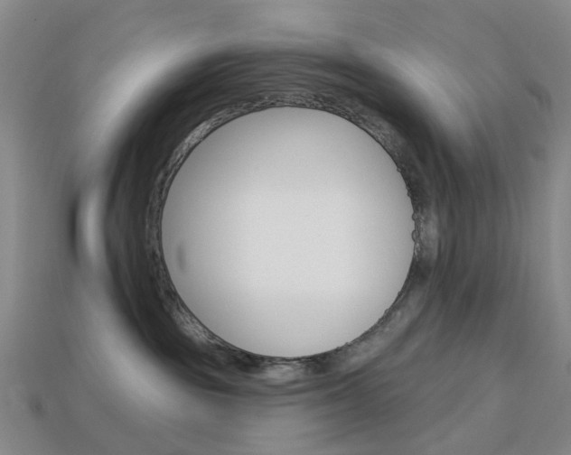 X0000114100189200910051238