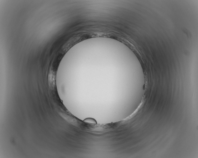 X0000114100191200910051238