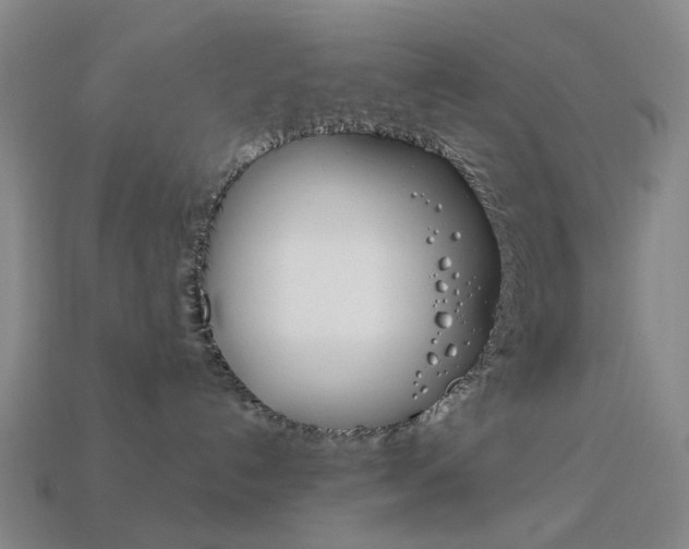 X0000114100192200910051238