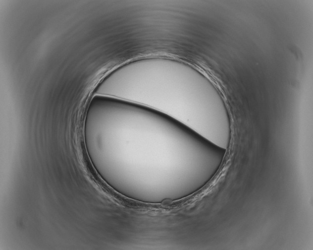 X0000114100193200910051238