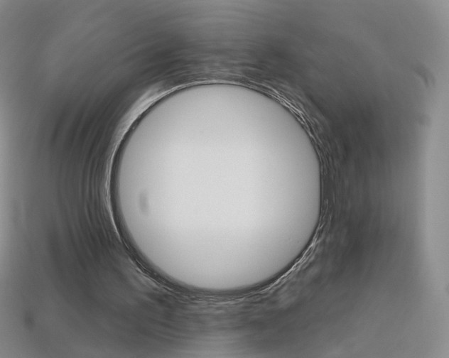 X0000114100195200910051238