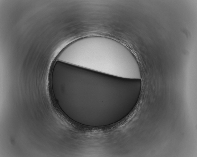 X0000114100196200910051238