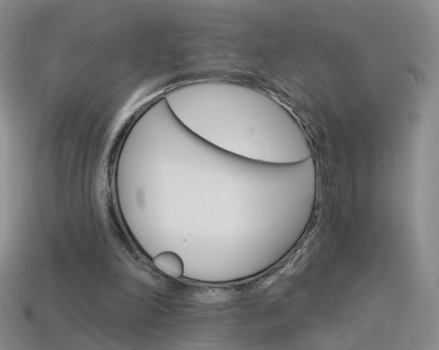 X0000114100198200910051238