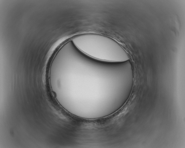 X0000114100200200910051237