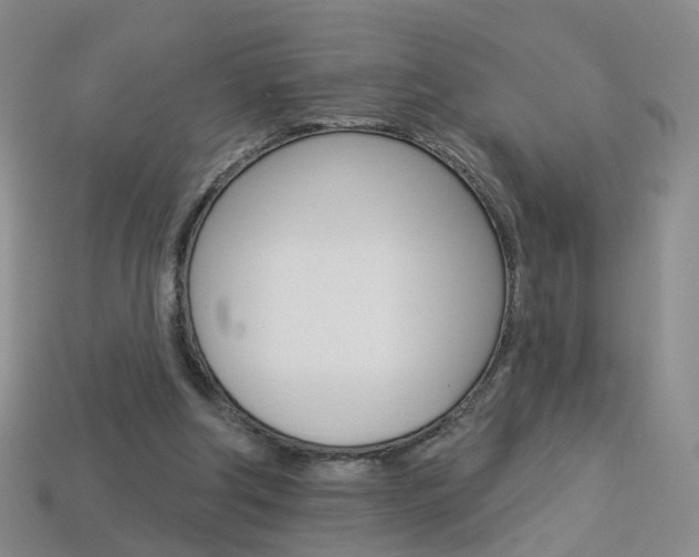 X0000114100202200910051237