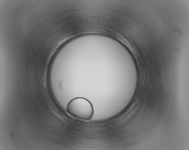 X0000114100203200910051237