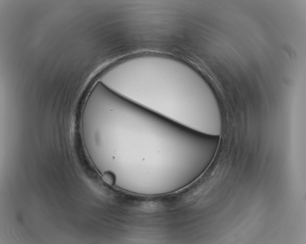 X0000114100204200910051237