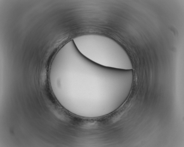 X0000114100206200910051237