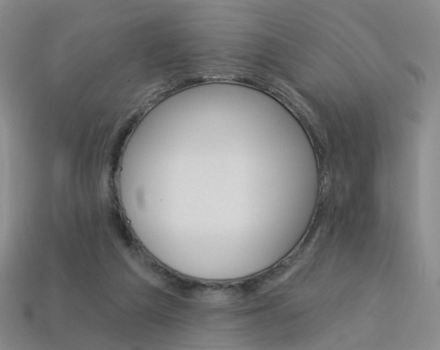 X0000114100209200910051237