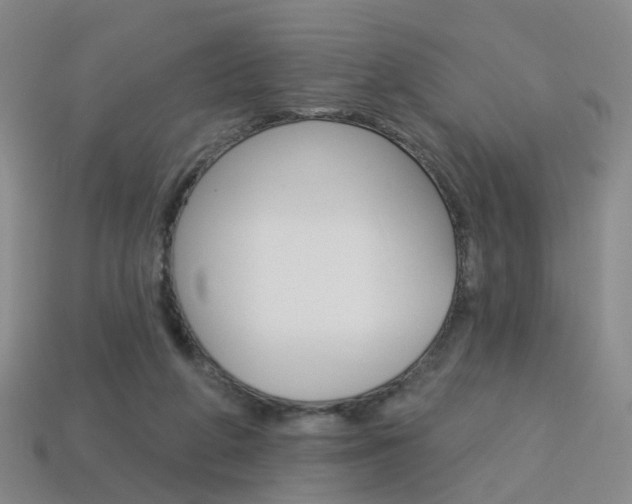 X0000114100210200910051237