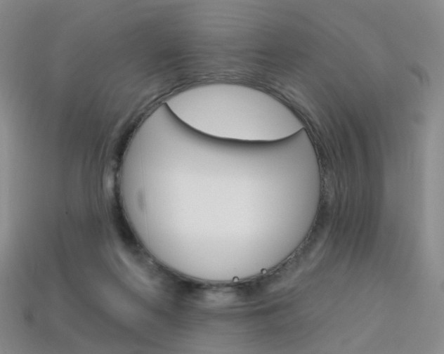 X0000114100214200910051237