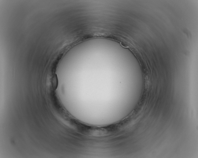 X0000114100215200910051237