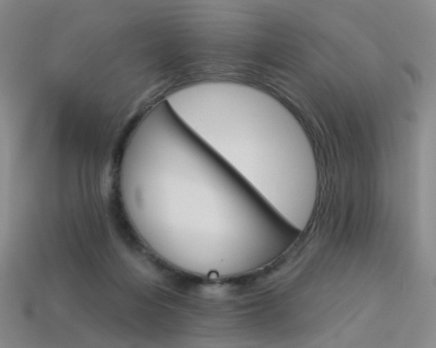 X0000114100216200910051237